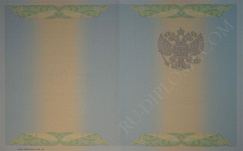 Диплом бакалавра 2004-2009 год  